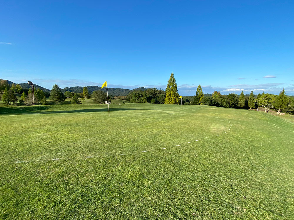 アプローチ練習練習グリーン