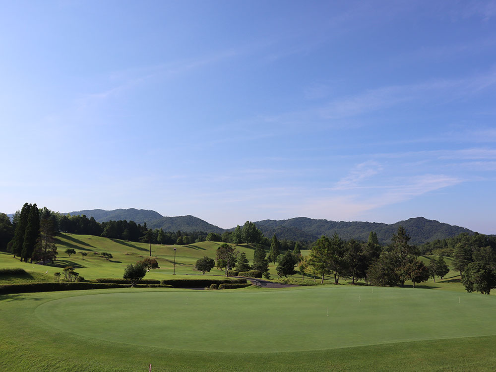 パッティング練習グリーン